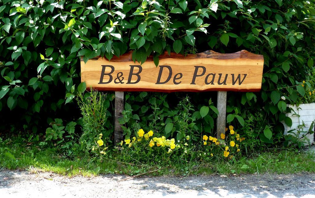 Bed En Breakfast De Pauw Wieringerwaard Δωμάτιο φωτογραφία