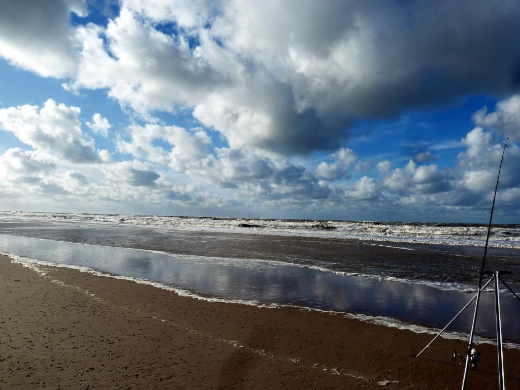 Bed En Breakfast De Pauw Wieringerwaard Εξωτερικό φωτογραφία