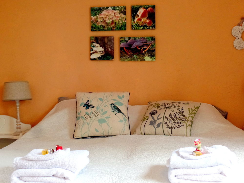 Bed En Breakfast De Pauw Wieringerwaard Εξωτερικό φωτογραφία