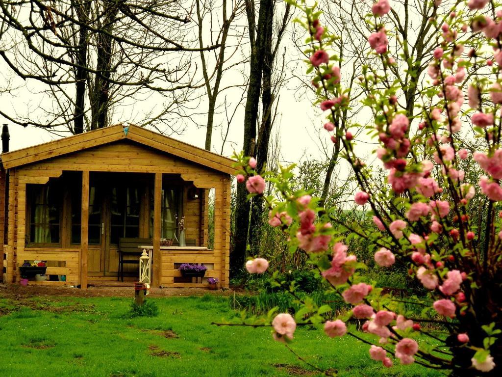 Bed En Breakfast De Pauw Wieringerwaard Δωμάτιο φωτογραφία